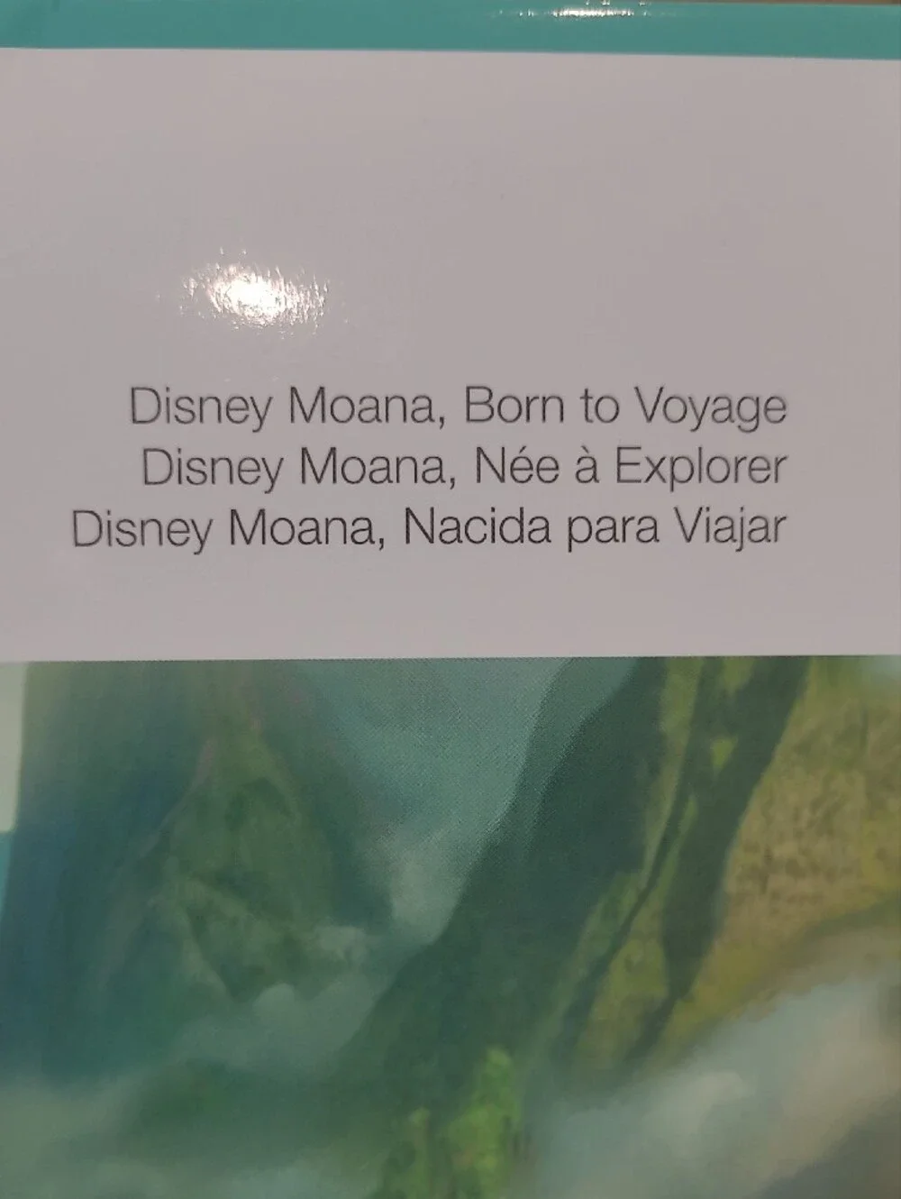 New Cricut Moana Deluxe Paper Pack - 12x12 Heavy Card Stock